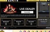 Live Dealer Hub